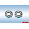 Ball Bearing 6x12x3 (10 pcs.)